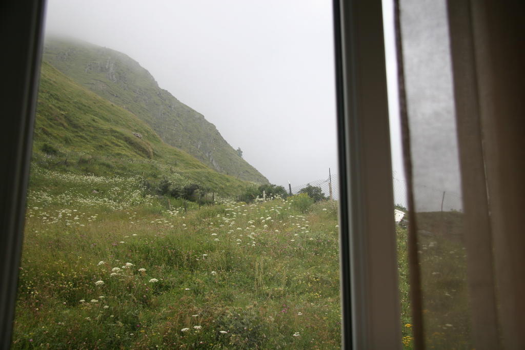 Hq Of Nove Sujashvili Kazbegi Kültér fotó